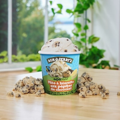 Ben & Jerry's Non-Dairy Chocolate Chip Cookie Dough Frozen Dessert