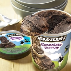 Ben & Jerry's Chocolate Therapy Ice Cream - 473 ml | Zehrs