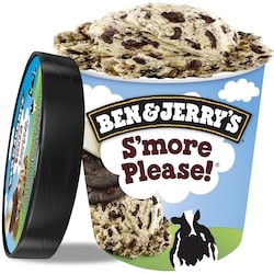 Ben & Jerry's Ice Cream with Fairtrade Ingredients S'More Please