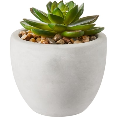 Life at Home Cactée miniature dans un pot en ciment 1 ea, 5,00 $/1ch