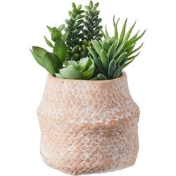 Life at Home Cactées artificielles 1 ea, 11,94 $/1ch