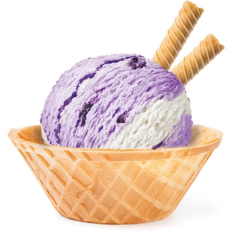 Frozen Yogurt Canadian Blueberries & Cream