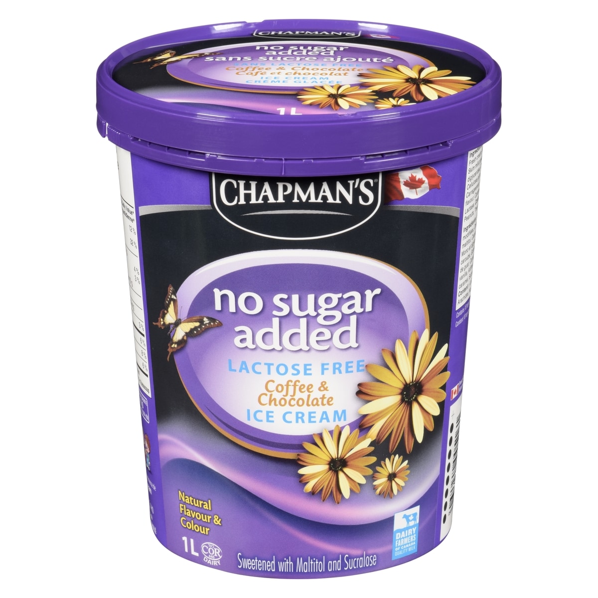 Chapman's Lactose-Free No Sugar Added Vanilla Ice Cream