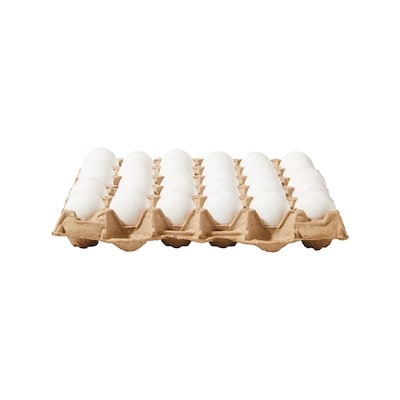 Large Size Eggs