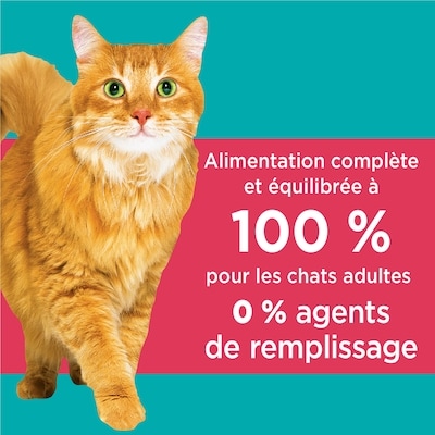 Nourriture pour chats Proactive Health Chat d’intérieur Contrôle du poids et des boules de poils avec saumon