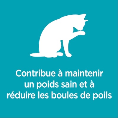 Nourriture pour chats Proactive Health Chat d’intérieur Contrôle du poids et des boules de poils avec saumon