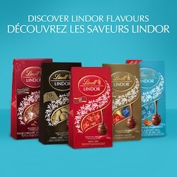 Lindt LINDOR Caramel and Sea Salt Milk Chocolate Truffles Bag