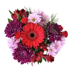 null Bouquet mixte de qualité Signature 1 ea, 25,00 $/1ch