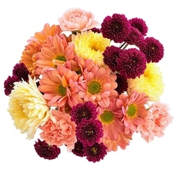 null Bouquet à offrir Signature 1 ea, 25,00 $/1ch