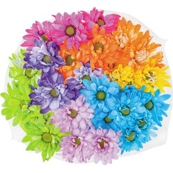 le Choix du Président Marguerites colorées 1 ea, 12,00 $/1ch