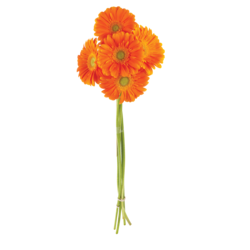 President's Choice Gerbera Daisy Bunch 1 ea, $12.00/1ea