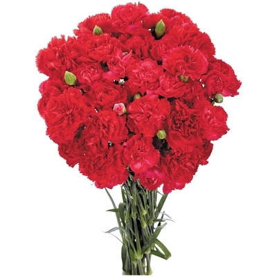 President's Choice Mini Carnation bunch 1 ea, $12.00/1ea