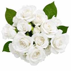 President's Choice Spray Rose Bunch 1 ea, $12.00/1ea