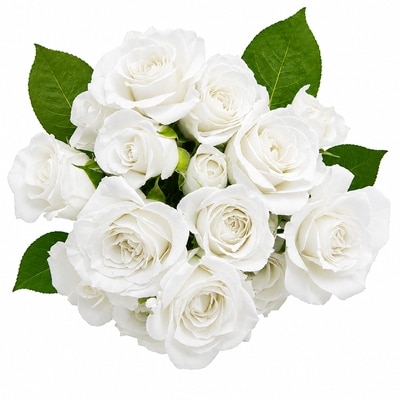 le Choix du Président Gerbe de roses en bouquet 1 ea, 12,00 $/1ch