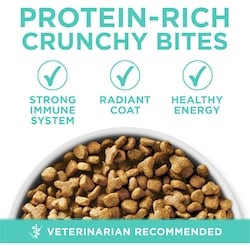Purina ONE +Plus Sensitive Systems Turkey, Dry Cat Food - 3 kg | Your  Independent Grocer