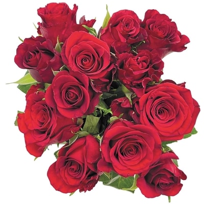 null Holiday Rose - Grand Bunch 1 ea, $19.00/1ea