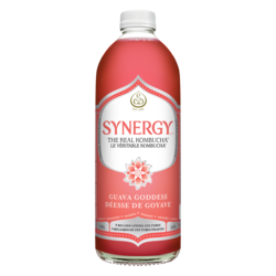 GT’s Synergy Le Véritable Kombucha Déesse de Goyave 1.4 l, 0,93 $/100ml