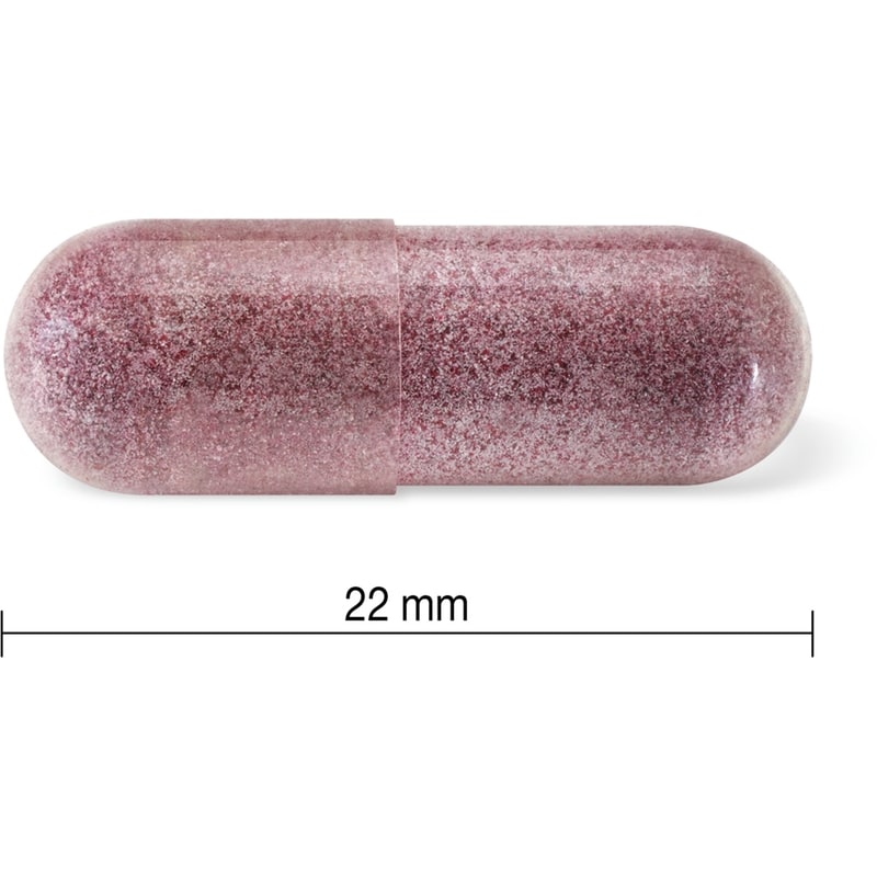 Black Elderberry 4500 mg