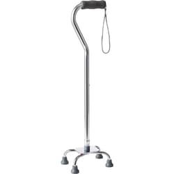 Life Brand Silver Cane 1 ea, $33.99/1ea