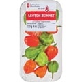 Piments forts Scotch Bonnet