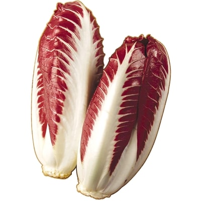 null Radicchio Trévise 1,32 $/100g 5,99 $/1lb