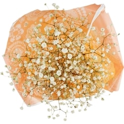 null Souffles de bébé 1 ea, 12,00 $/1ch