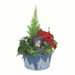 null Large Holiday Garden 1 ea, $40.00/1ea