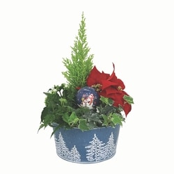 null Grand jardin des Fêtes 1 ea, 46,00 $/1ch