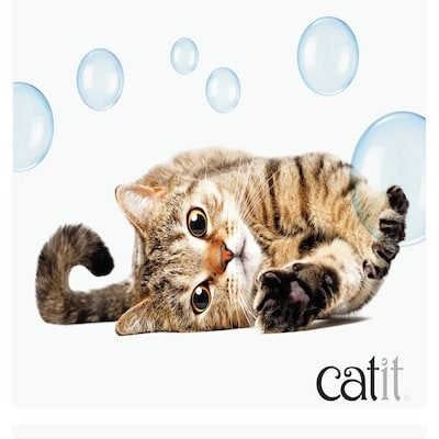 thumbnail #8