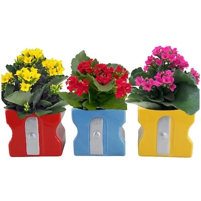 null Teacher Appreciation Planter 1 ea, $18.00/1ea