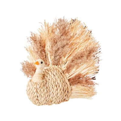 null Large Pampas Grass Turkey - Ivory Pampas  1 ea, $20.00/1ea