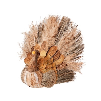 null Large Pampas Grass Turkey - Taupe  Pampas   1 ea, $20.00/1ea