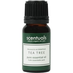 Essential Oil - Tea Tree
