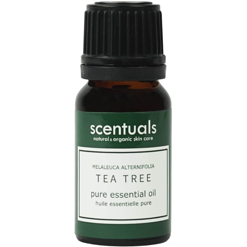 Essential Oil - Tea Tree