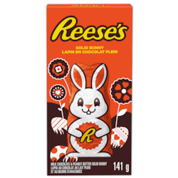 Foil Wrapped Solid Bunny