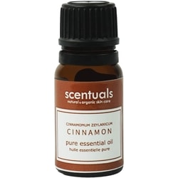 Essential Oil - Cinnamon