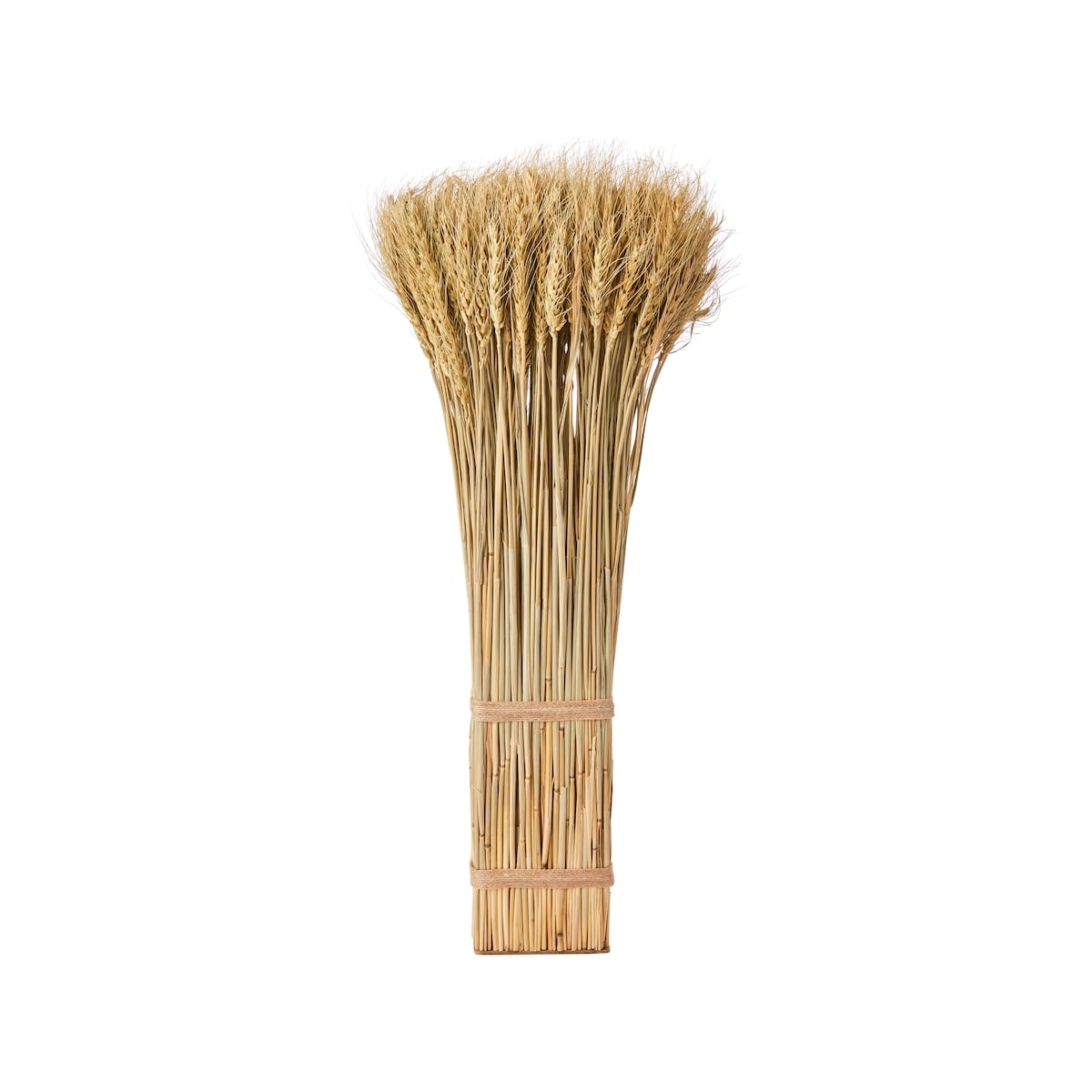 null Ensemble de blé de la moisson de 22 po, sauge 1 ea, 7,50 $/1ch