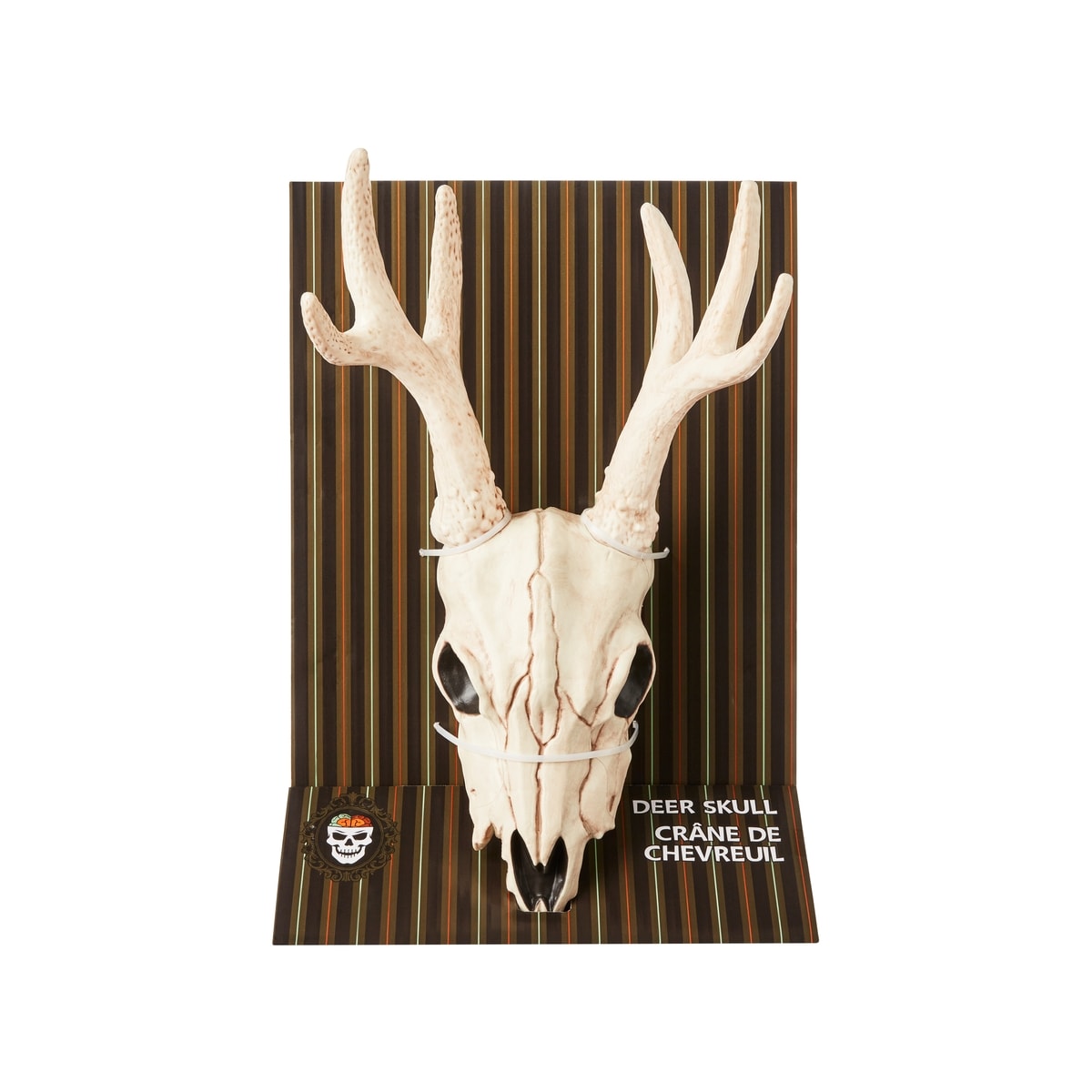 null Crâne de cerf de 16 po 1 ea, 16,00 $/1ch