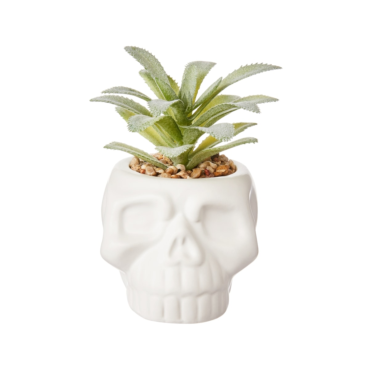 null 5In Ceramic Skull with Succulents - C  1 ea, $5.00/1ea