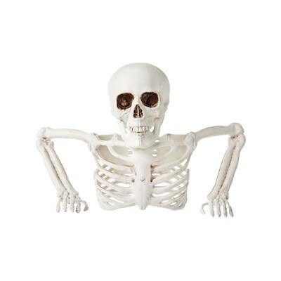 null Table Top Skeleton Decoration 1 ea, $25.00/1ea
