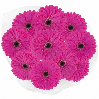 null Mini Gerbera Daisy Bunch 1 ea, $12.00/1ea