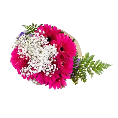 null Gerbera Daisy Bouquet 1 ea, $22.00/1ea