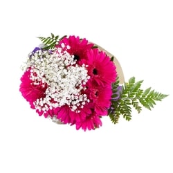 null Bouquet de gerberas 1 ea, 22,00 $/1ch
