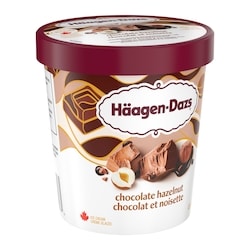 Haagen Dazs Chocolate Hazelnut Ice Cream - 450 ml | Dominion
