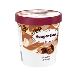 Haagen Dazs Chocolate Ice Cream - 450 ml | Loblaws