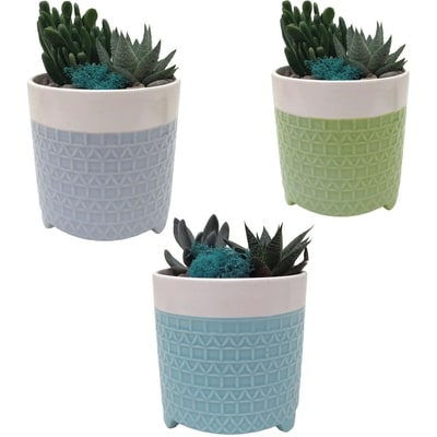 null Succulent Garden Planter 5-inch 1 ea, $18.00/1ea