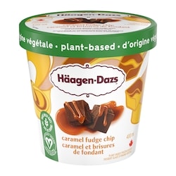Haagen Dazs Plant-based Caramel Fudge Chip Frozen Dessert 400 ml, $1.38/100ml