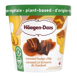 Haagen Dazs Plant-based Caramel Fudge Chip Frozen Dessert - 400 ml