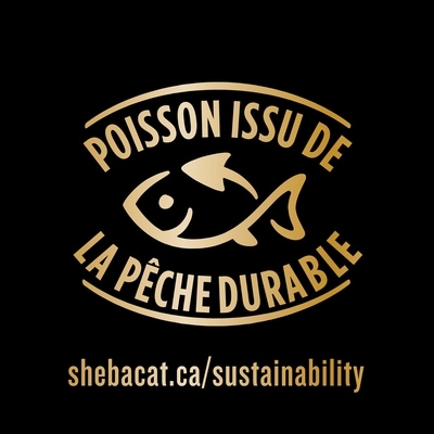 Sheba Nourriture humide pour chats adultes BISTRO PERFECT PORTIONS coupes en sauce en format variété – repas au poulet dans une sauce Alfredo et repas au saumon dans une sauce crémeuse, 12 barquettes de 75 g, 900 g 900 g, 2,22 $/100g