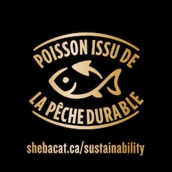 Sheba Nourriture humide pour chats adultes BISTRO PERFECT PORTIONS coupes en sauce en format variété – repas au poulet dans une sauce Alfredo et repas au saumon dans une sauce crémeuse 900 g, 2,22 $/100g